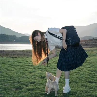 衰鸟向前冲